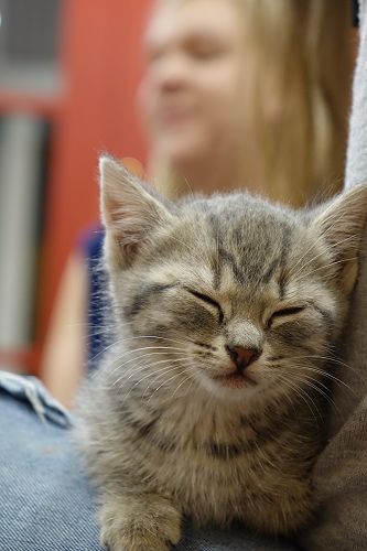 Cuddle Fix - 10 June 2018