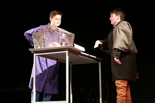 Cormac Gallagher and Daniel Fogarty