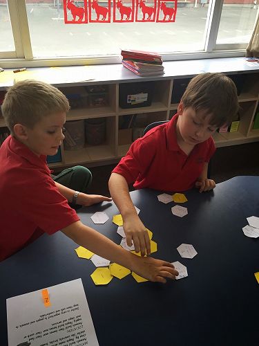 James and Will think of ways to connect their ideas about chickens