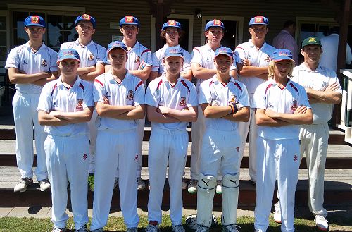 Cricket - Willows 2016