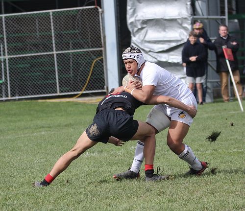 1st XV v Gisborne BHS