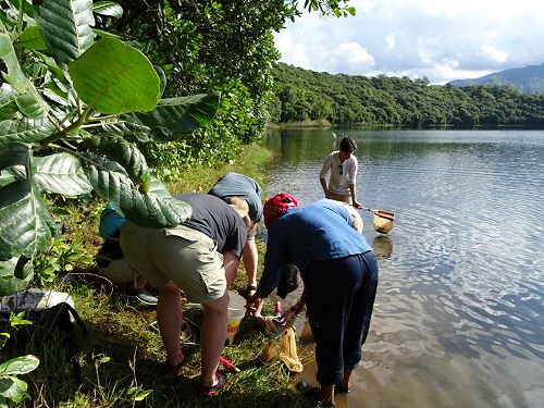 Finding out what fish eat in Lake Masoko