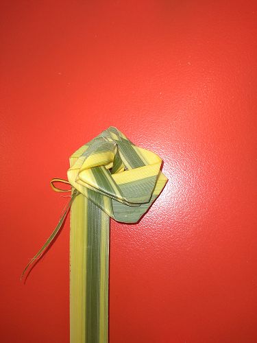 Evelyn Cosgrove's flax flower