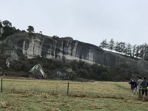 Wave rocks at Kakahu Bush showing the angle of uplift.