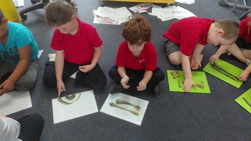 Measurement - week one