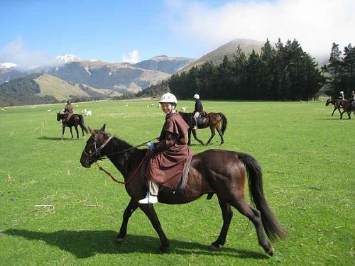 Horse Riding | Springfield 