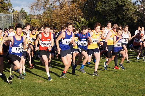 The Novice/Junior cross country begins