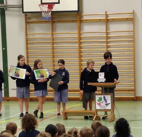 Explore BH - Autobiography Poems