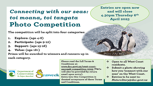 Seaweek Photo Competition