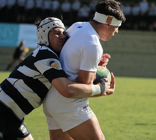 1st XV vs New Plymouth Boys' High School