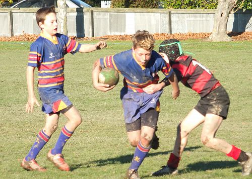 2016 RUGBY UNDER 12 