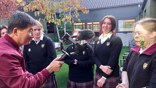 The National Flower of South Korea - Mugunghwa