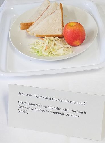 National Youth in Custody Index 2016