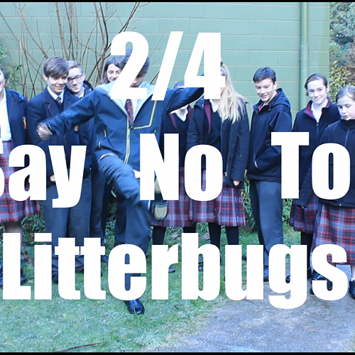 Anti-Litter Assembly