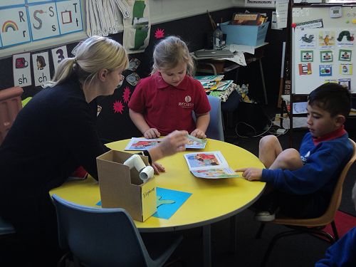 Room 12, Term 3 2017