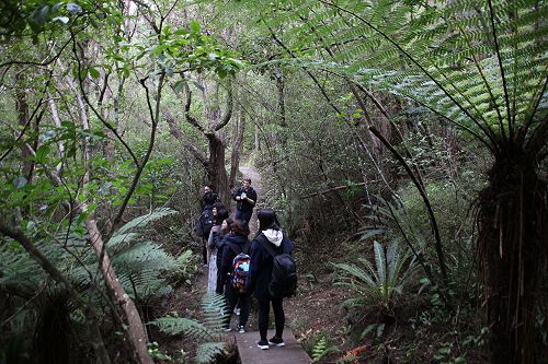 International Summer School