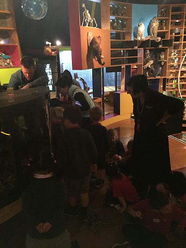 More photos of our trip to the museum and gardens.