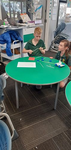 Te Ngahere Term 3 - Wider Curriculum