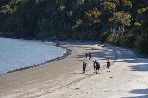 International Raikura Tramp