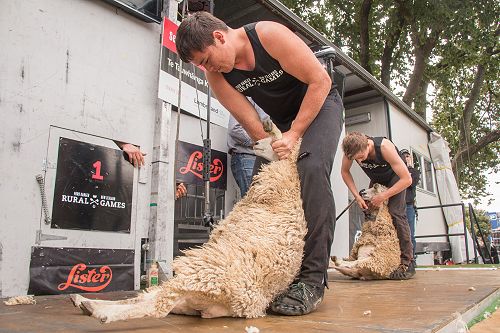NZ Rural Games - Secondary Schools' Shearing Competition