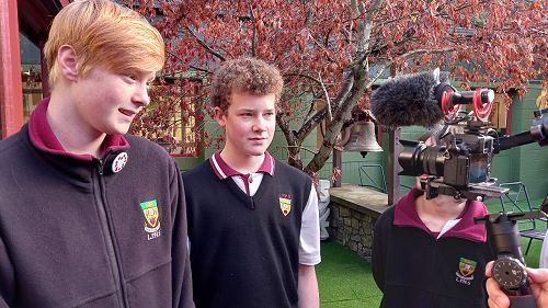 The National Flower of South Korea - Mugunghwa