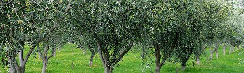 JOIN US! Send us an email.