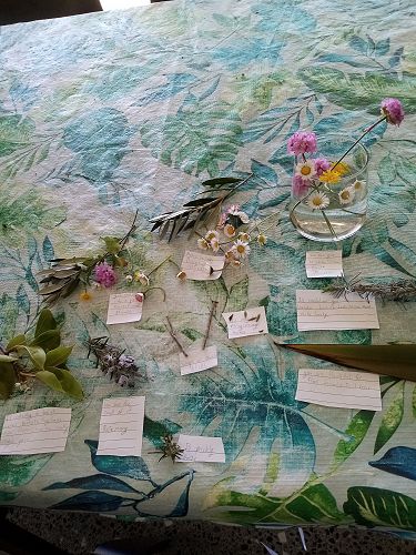 Another Whenua Iti task from Lola N, based on gratitude for nature