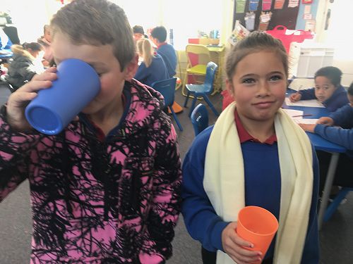 Milkshakes, Rm 3 - T2 2019