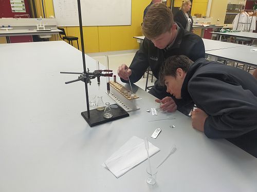 Massey Agriculture Taster Day
