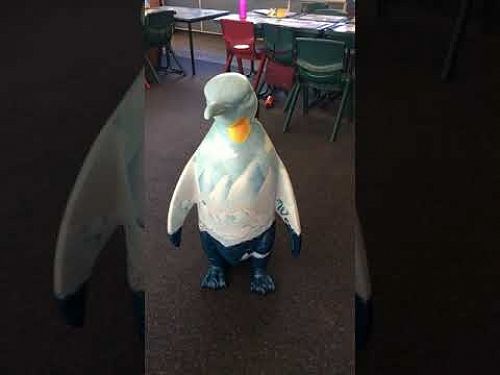 Video: Penguin