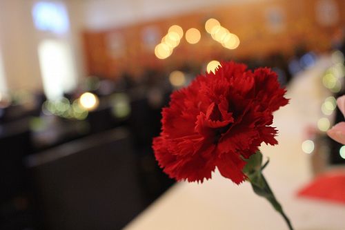 Harry Potter Theme Dinner, 6 April 2019