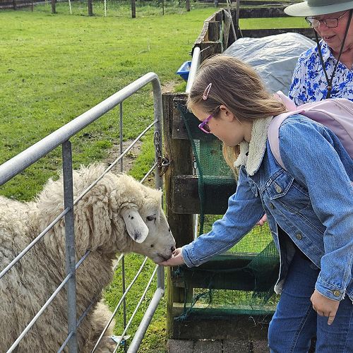 Video: Keep in Touch Days for Stronger Bonds and Lasting Relationships!