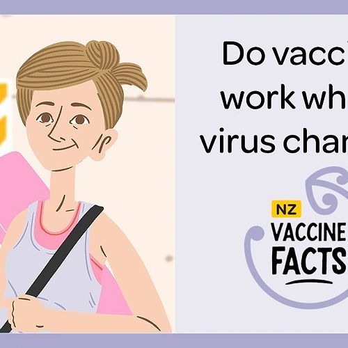 Video: NZ Vaccine Facts: Do vaccines work when a virus changes?