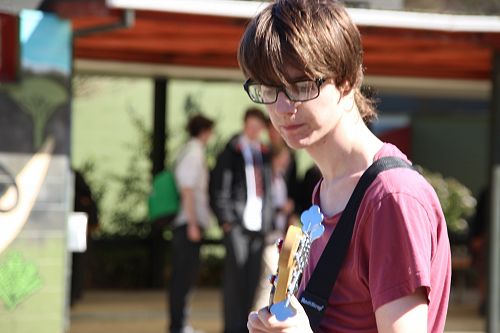 Outdoor Music Concert and Market Stalls