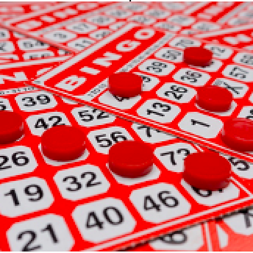 Family Bingo & Selwyn Stars — Newsletter 21 March 2024 image.