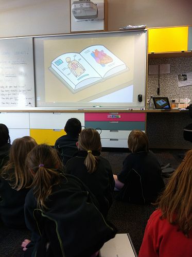 Harakeke - Learning 4