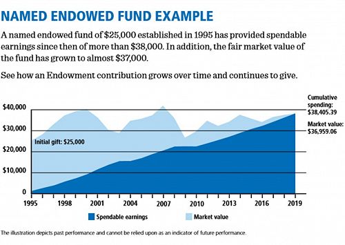 Named Endowed Fund Example