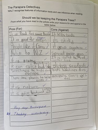 Esther's Parapara Detectives Pro's and Con's 