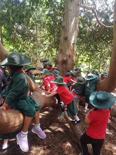 Awa's Trip to the Canterbury Museum
