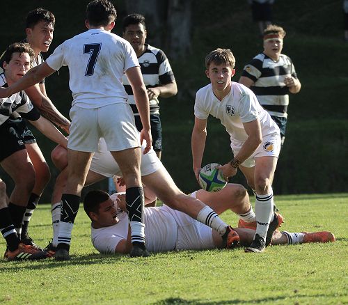 1st XV vs New Plymouth Boys' High School
