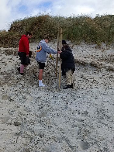 Year 13 Geography Beach Visit