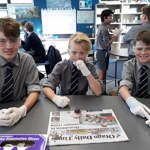 9Y Cow Eye Dissection