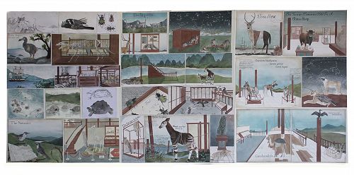 Elaine Mitchell 13Rn