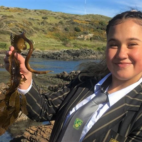 Mana College student holding up a piece of kelp that contains spores, which was collected at a coastal area in Porirua