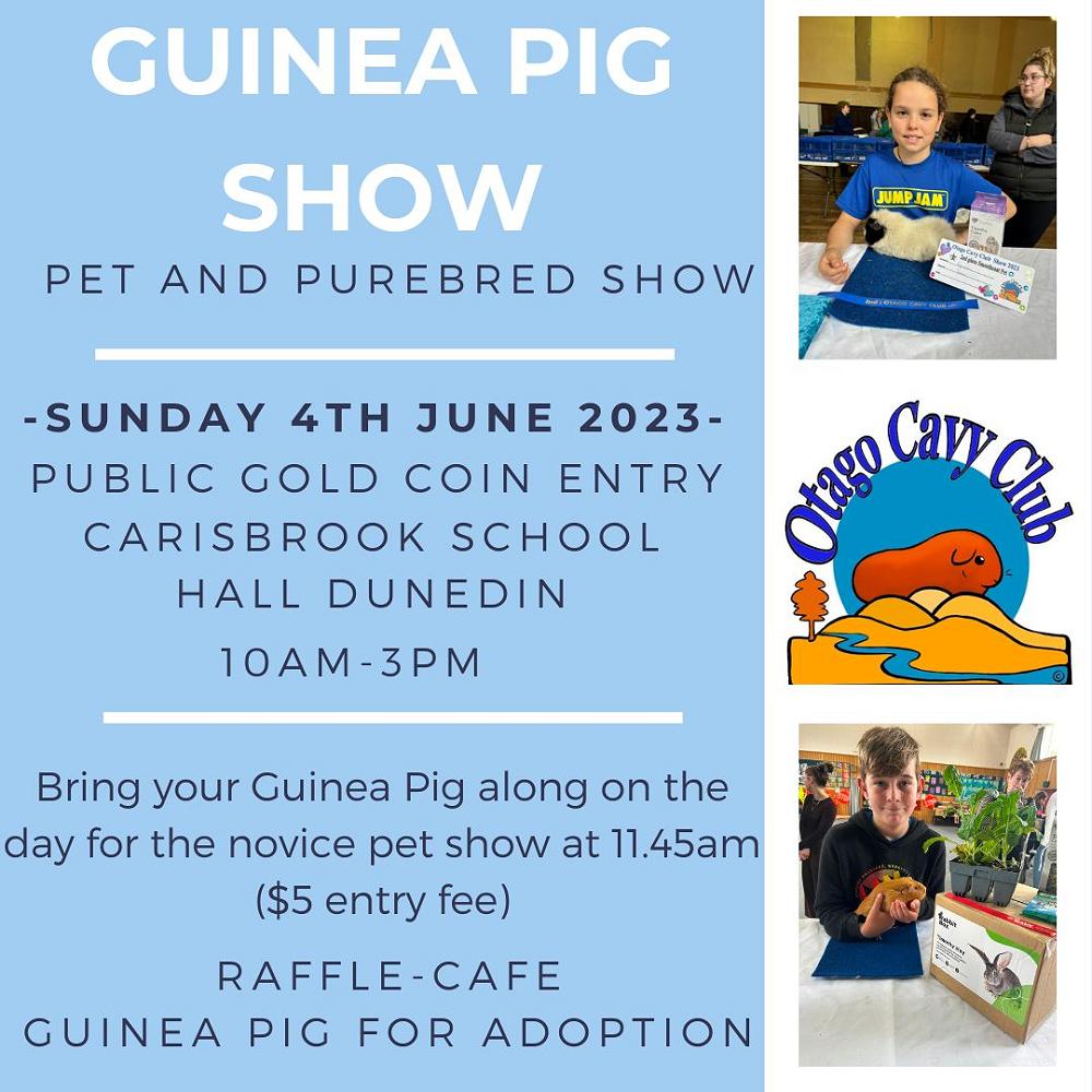 Guinea Pig Show
