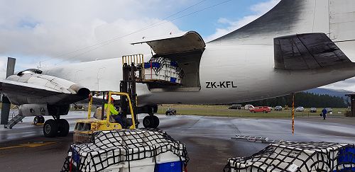Loading lobsters at Manapouri Airport.
