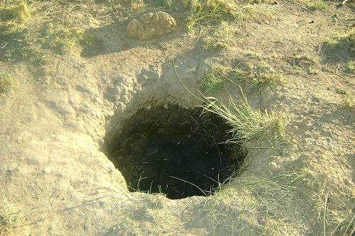 Breaking the crust to allow animals to come and drink