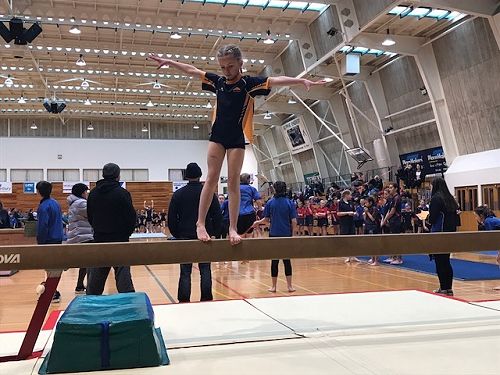Gymnastics 2017