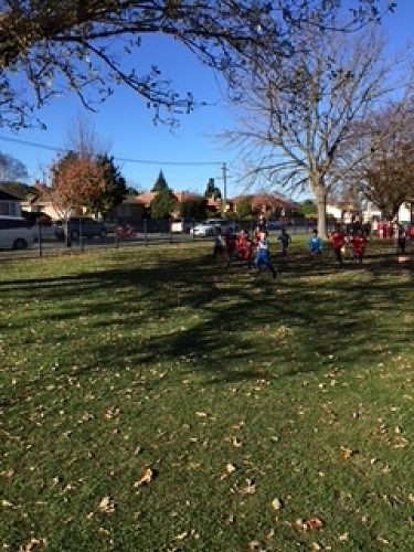 Cross Country Day - Awa