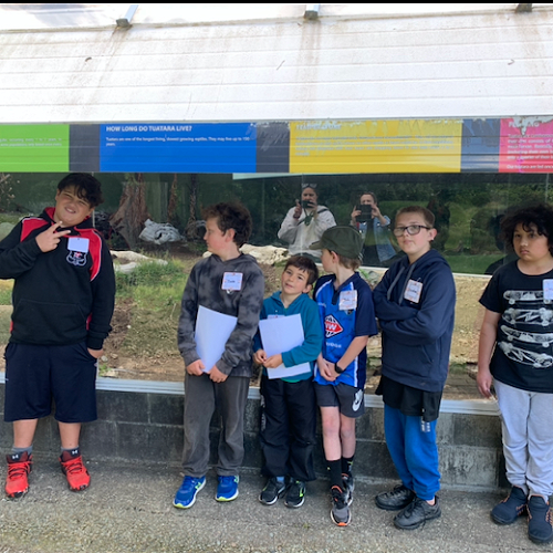 Video: Excelling in the Preschool